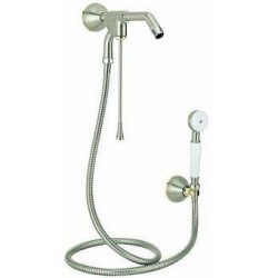 REGADERA MANUAL ELEGANCE SATIN LACA HELVEX RM10SL 261-RM10SL