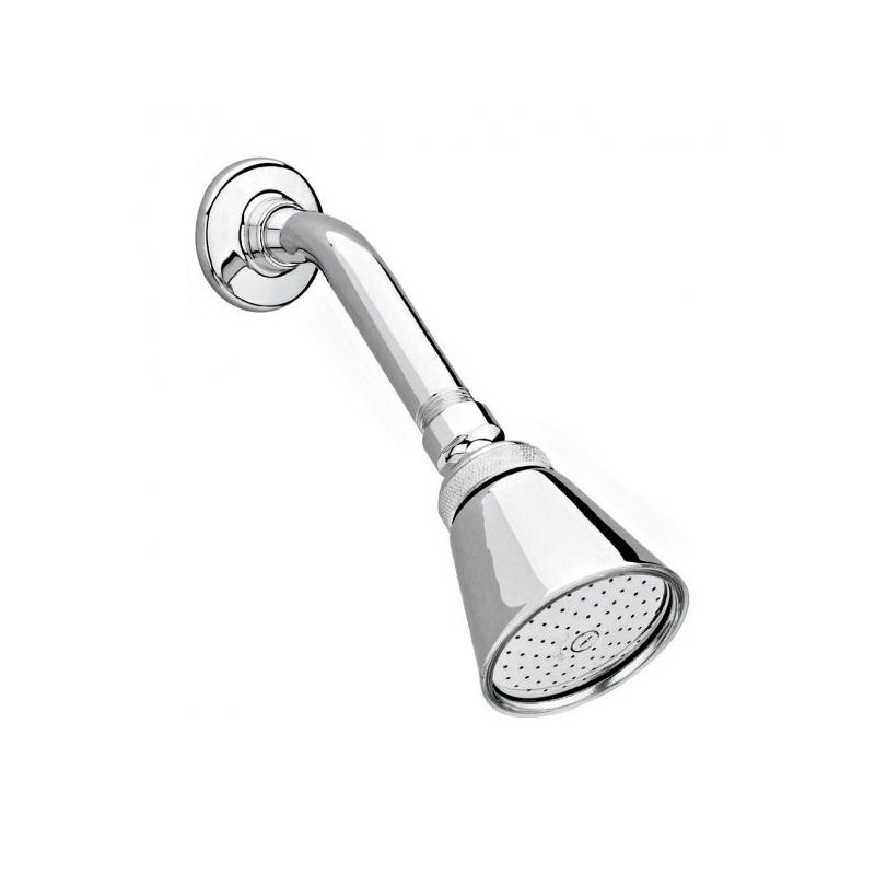 REGADERA CHORRO FIJO CON BRAZO Y CHAPETON 6L CROMO HELVEX H2006 261-H2006